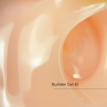 Builder Gel No. 61 Crystal Professional
